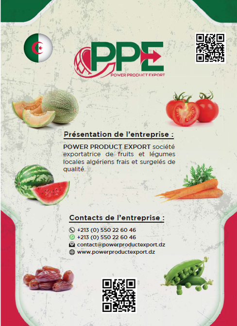 WEBMINDS%20DIGITAL%20SOLUTIONS%20